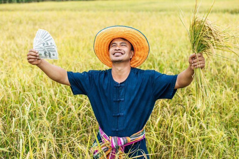 microfinance and farmer