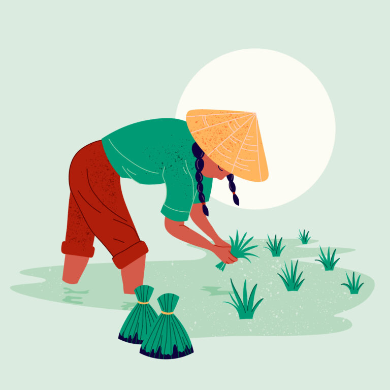 microfinance and rural development